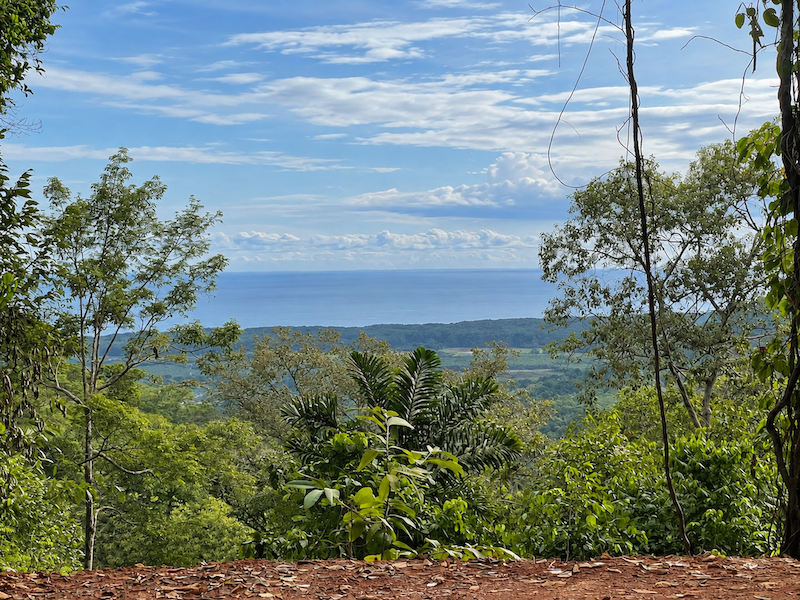 5.93-ACRE LOT WITH OCEAN VIEW AND NATURE RESERVE, IN PORTASOL