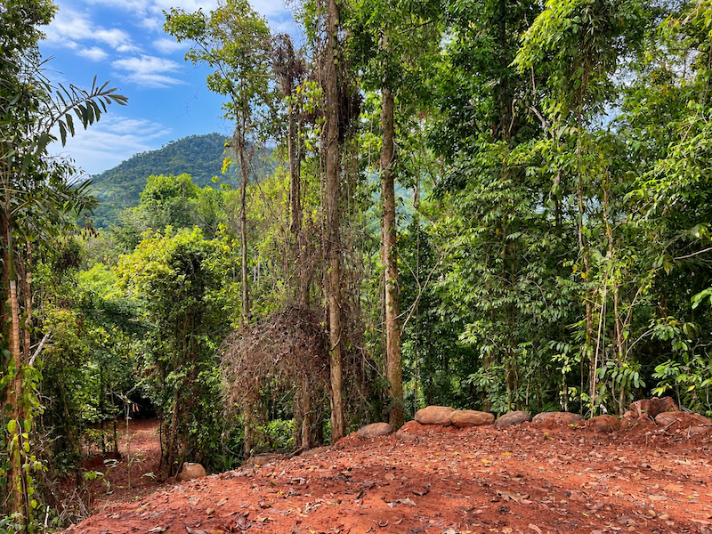 5.93-ACRE LOT WITH OCEAN VIEW AND NATURE RESERVE, IN PORTASOL