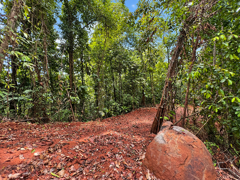 5.93-ACRE LOT WITH OCEAN VIEW AND NATURE RESERVE, IN PORTASOL