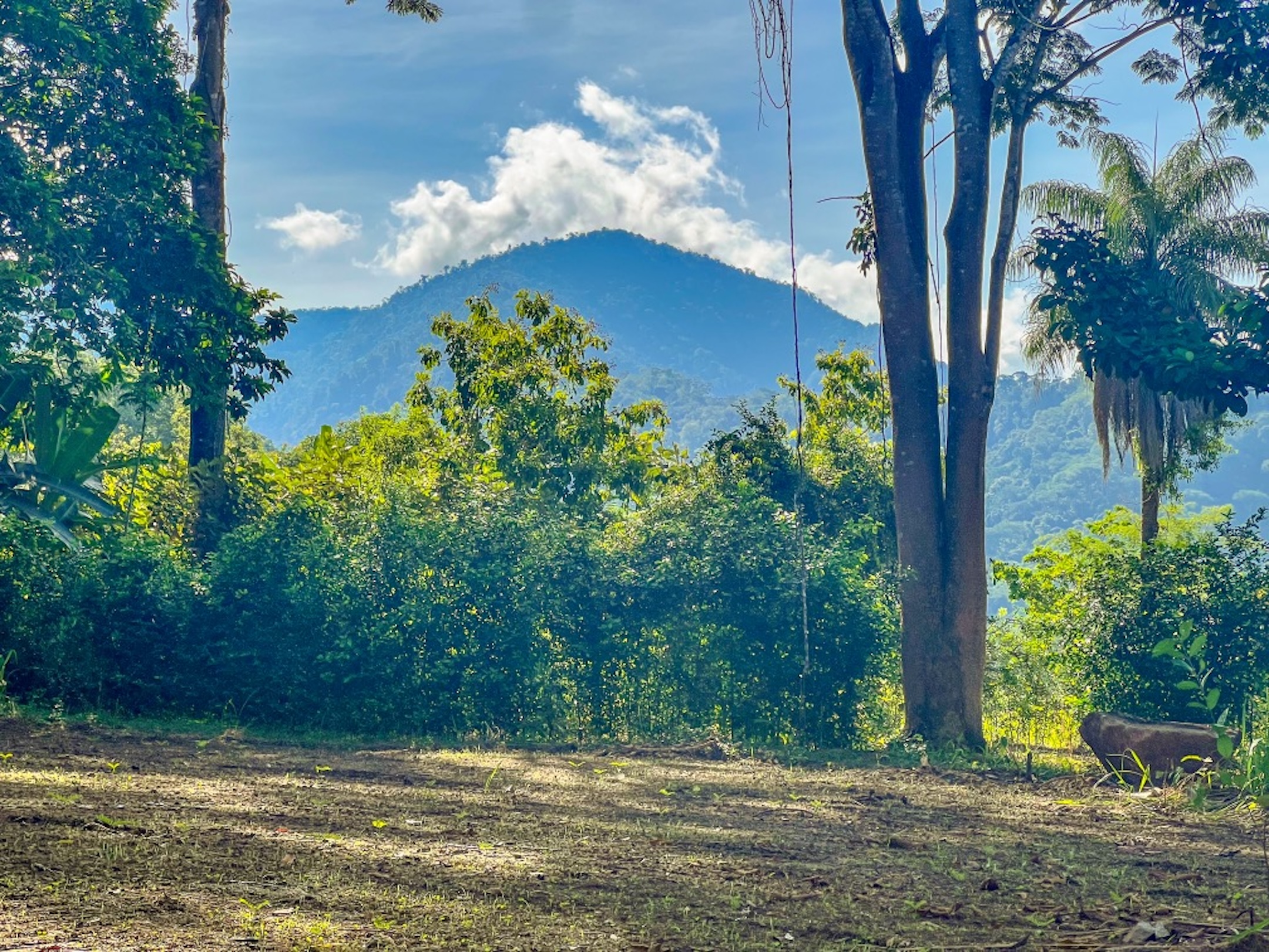 CARACARA RIDGE LOT #5 – MOUNTAIN SETTING WITH FLAT BUILDING AREA, IN OJOCHAL