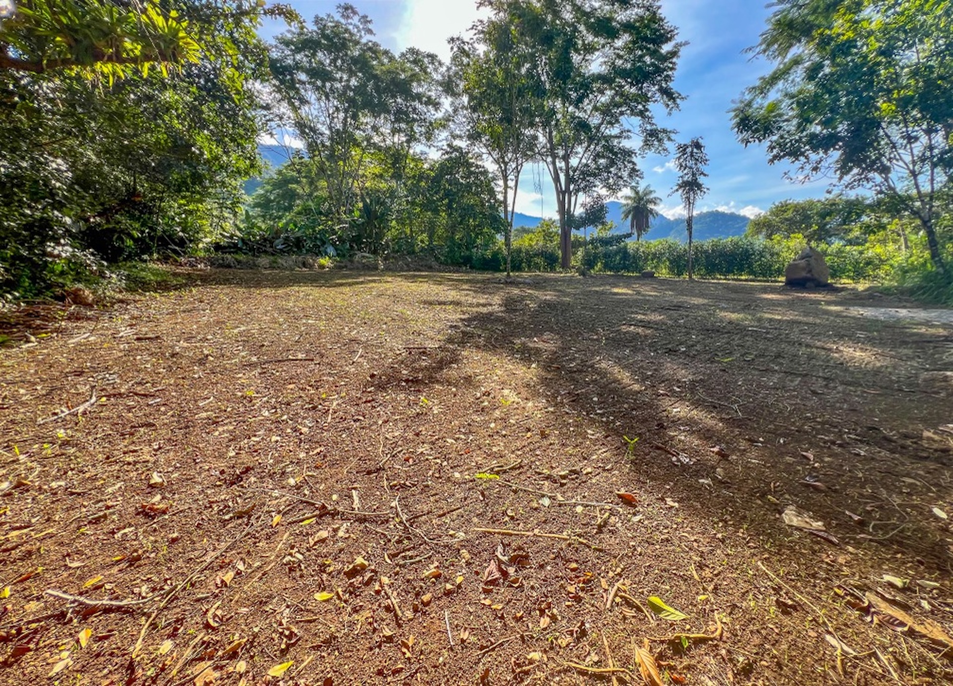 CARACARA RIDGE LOT #5 – MOUNTAIN SETTING WITH FLAT BUILDING AREA, IN OJOCHAL