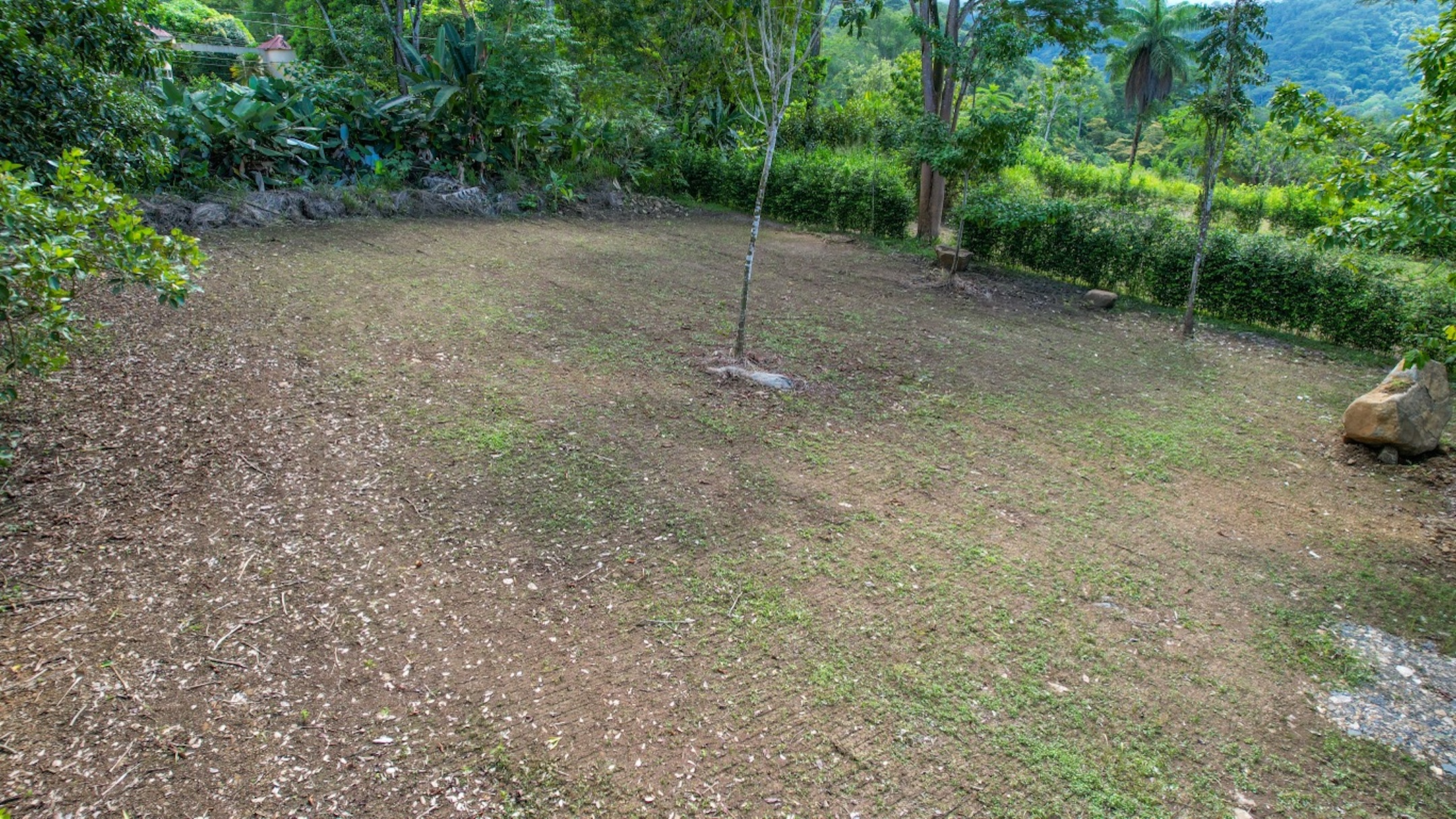 CARACARA RIDGE LOT #5 – MOUNTAIN SETTING WITH FLAT BUILDING AREA, IN OJOCHAL