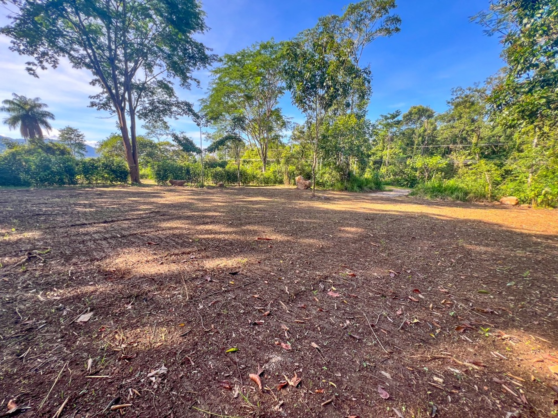 CARACARA RIDGE LOT #5 – MOUNTAIN SETTING WITH FLAT BUILDING AREA, IN OJOCHAL