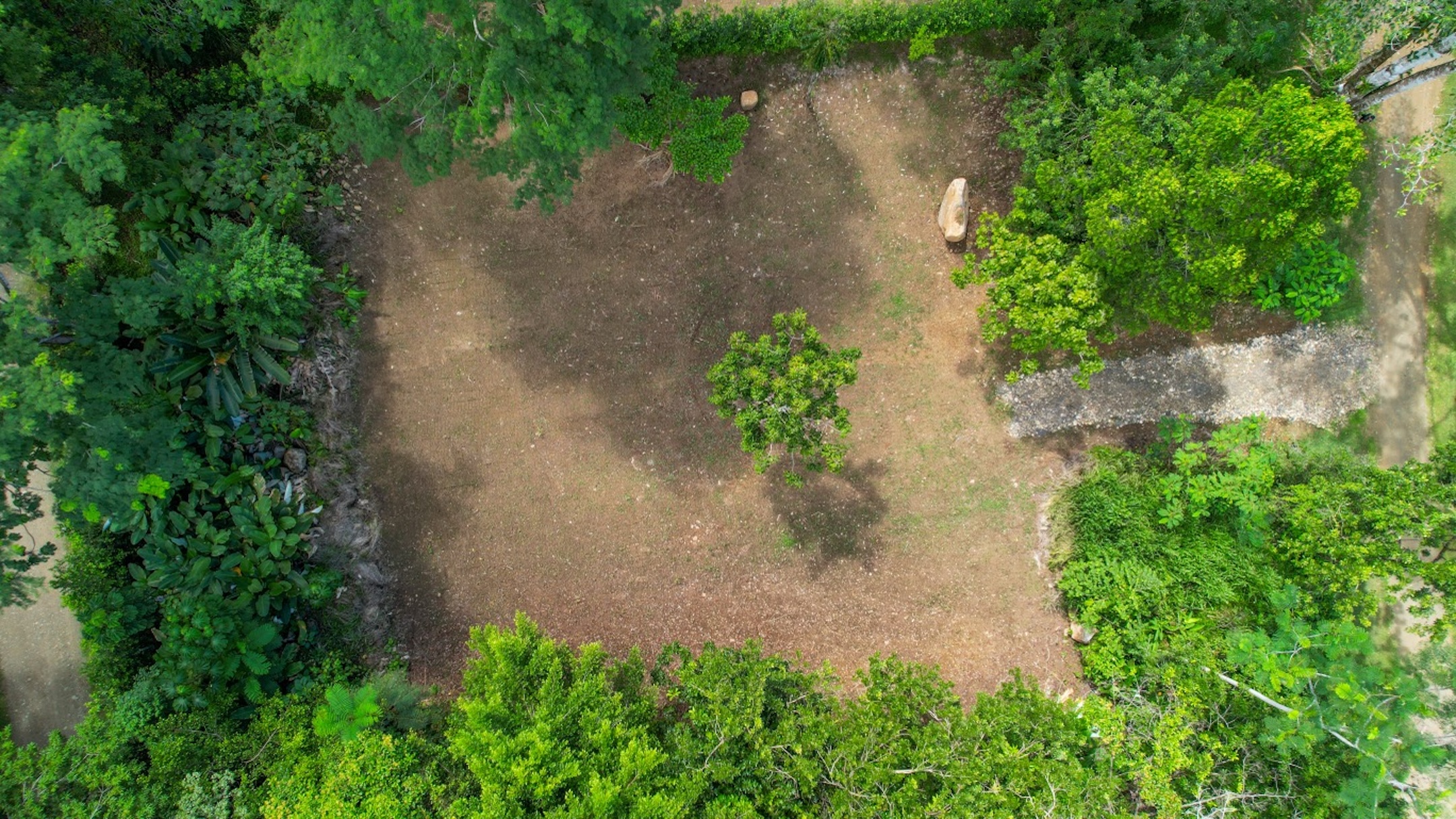 CARACARA RIDGE LOT #5 – MOUNTAIN SETTING WITH FLAT BUILDING AREA, IN OJOCHAL