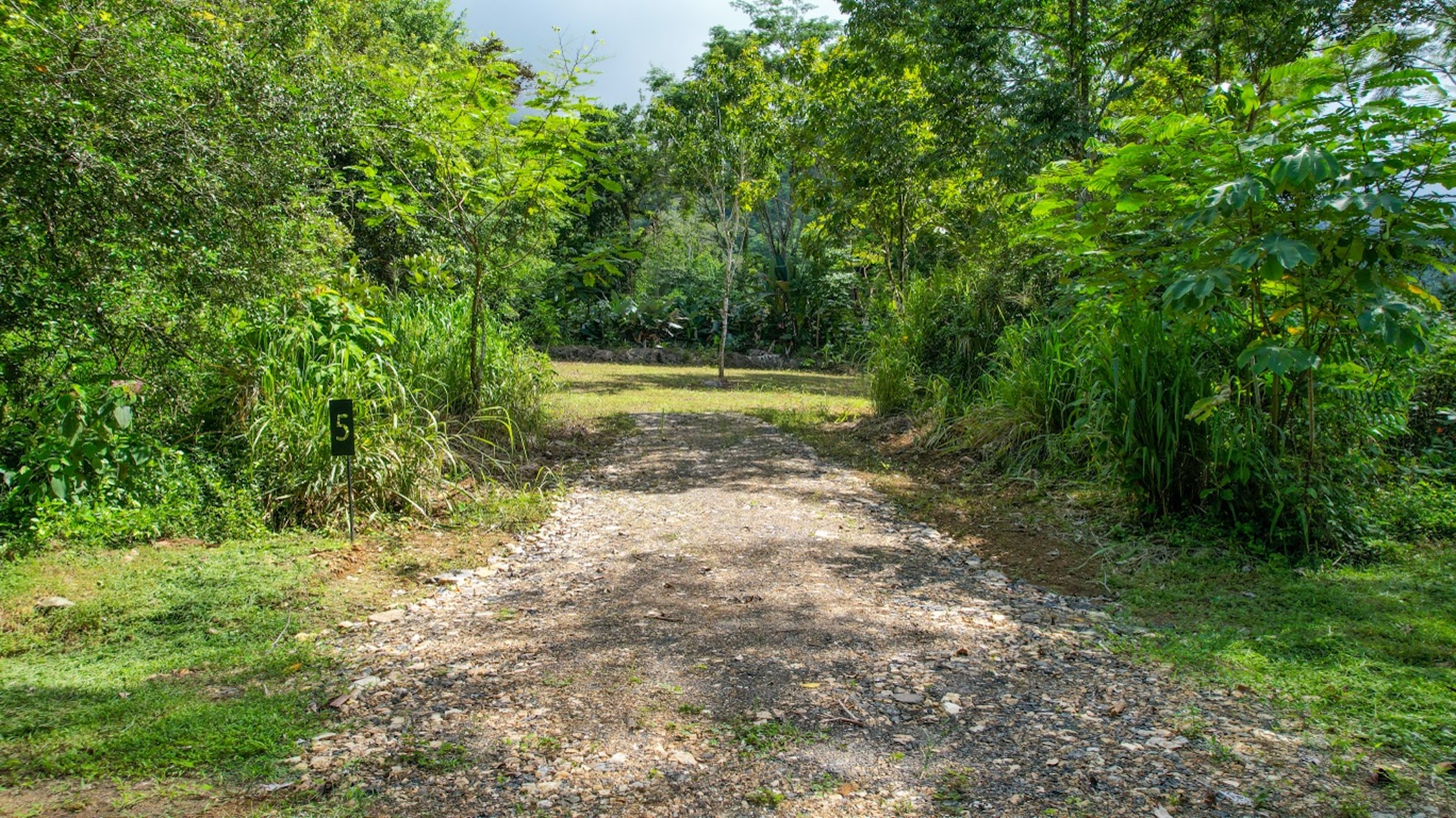 CARACARA RIDGE LOT #5 – MOUNTAIN SETTING WITH FLAT BUILDING AREA, IN OJOCHAL