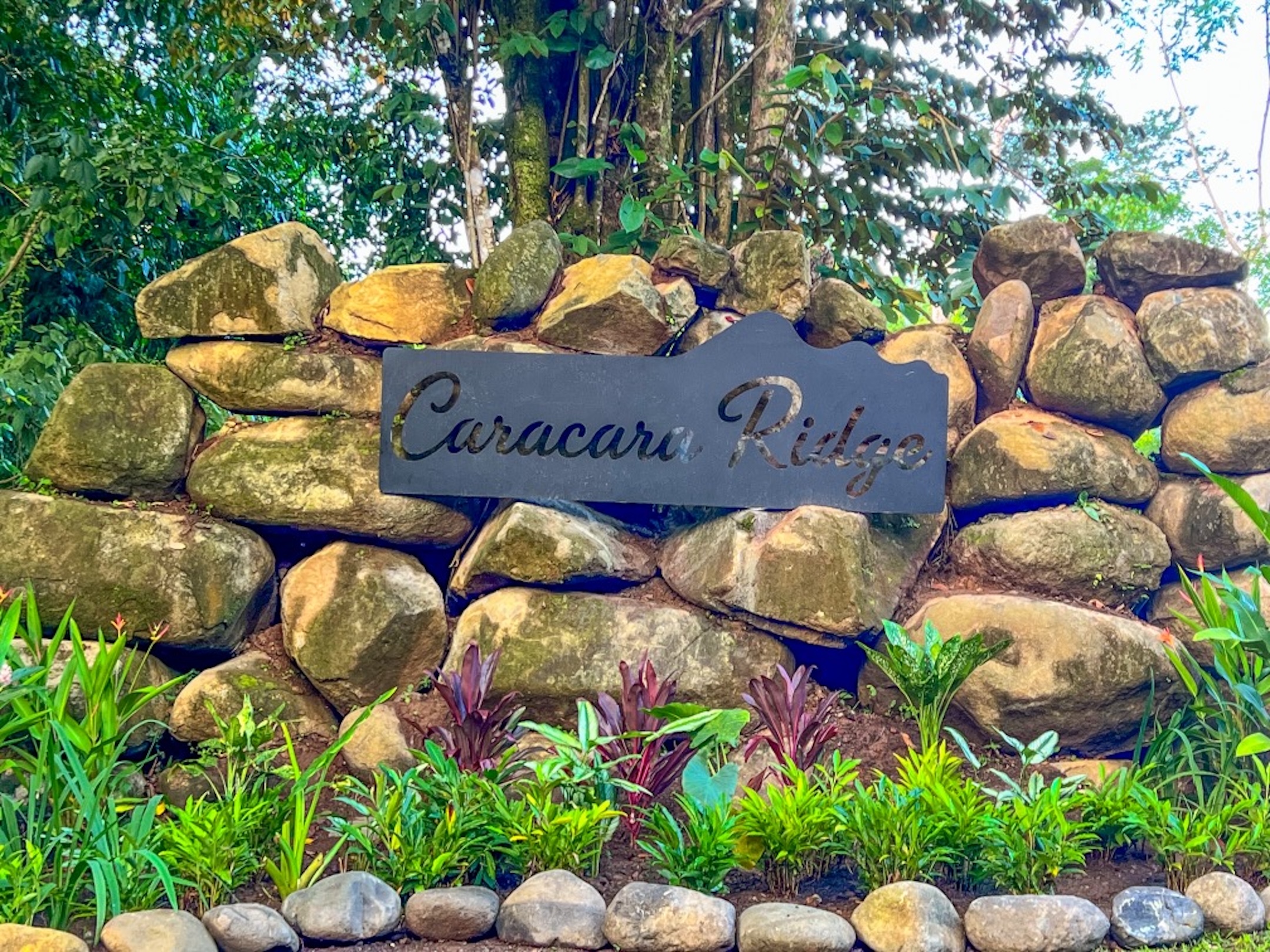 CARACARA RIDGE LOT #5 – MOUNTAIN SETTING WITH FLAT BUILDING AREA, IN OJOCHAL