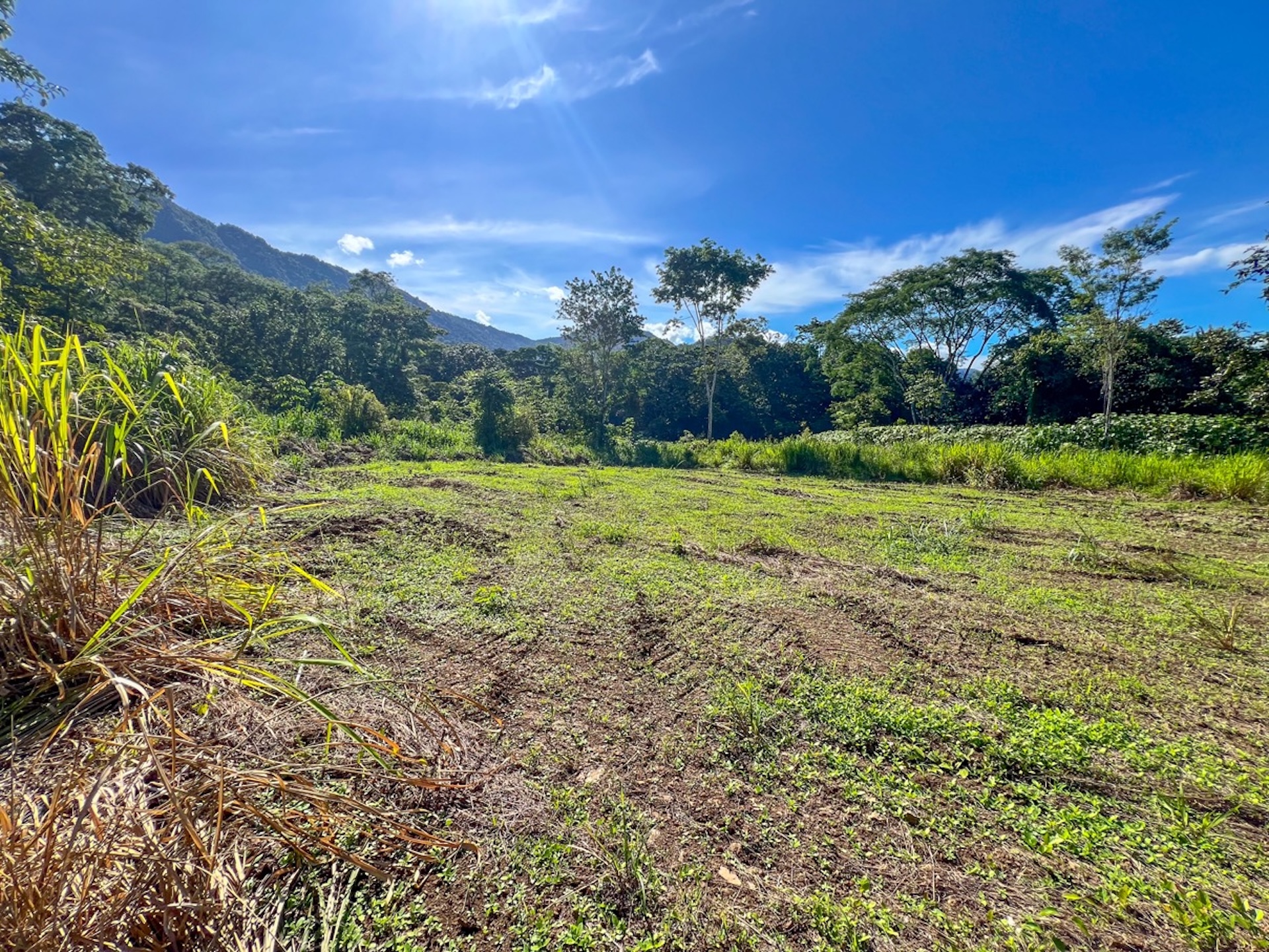 CARACARA RIDGE LOT #12 – MOUNTAIN VIEWS & NATURAL PRIVACY, IN OJOCHAL – 1.32 ACRES
