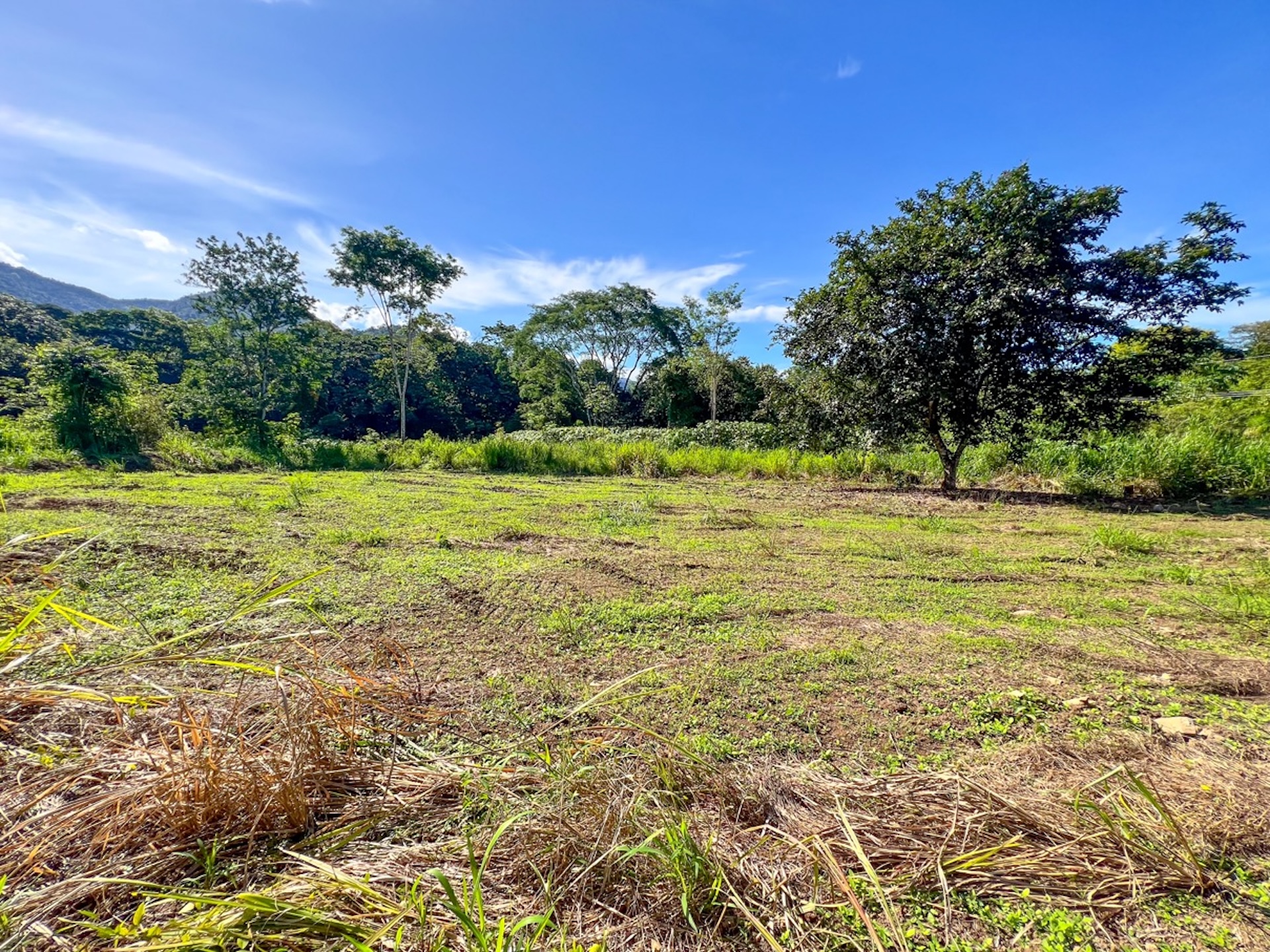 CARACARA RIDGE LOT #12 – MOUNTAIN VIEWS & NATURAL PRIVACY, IN OJOCHAL – 1.32 ACRES
