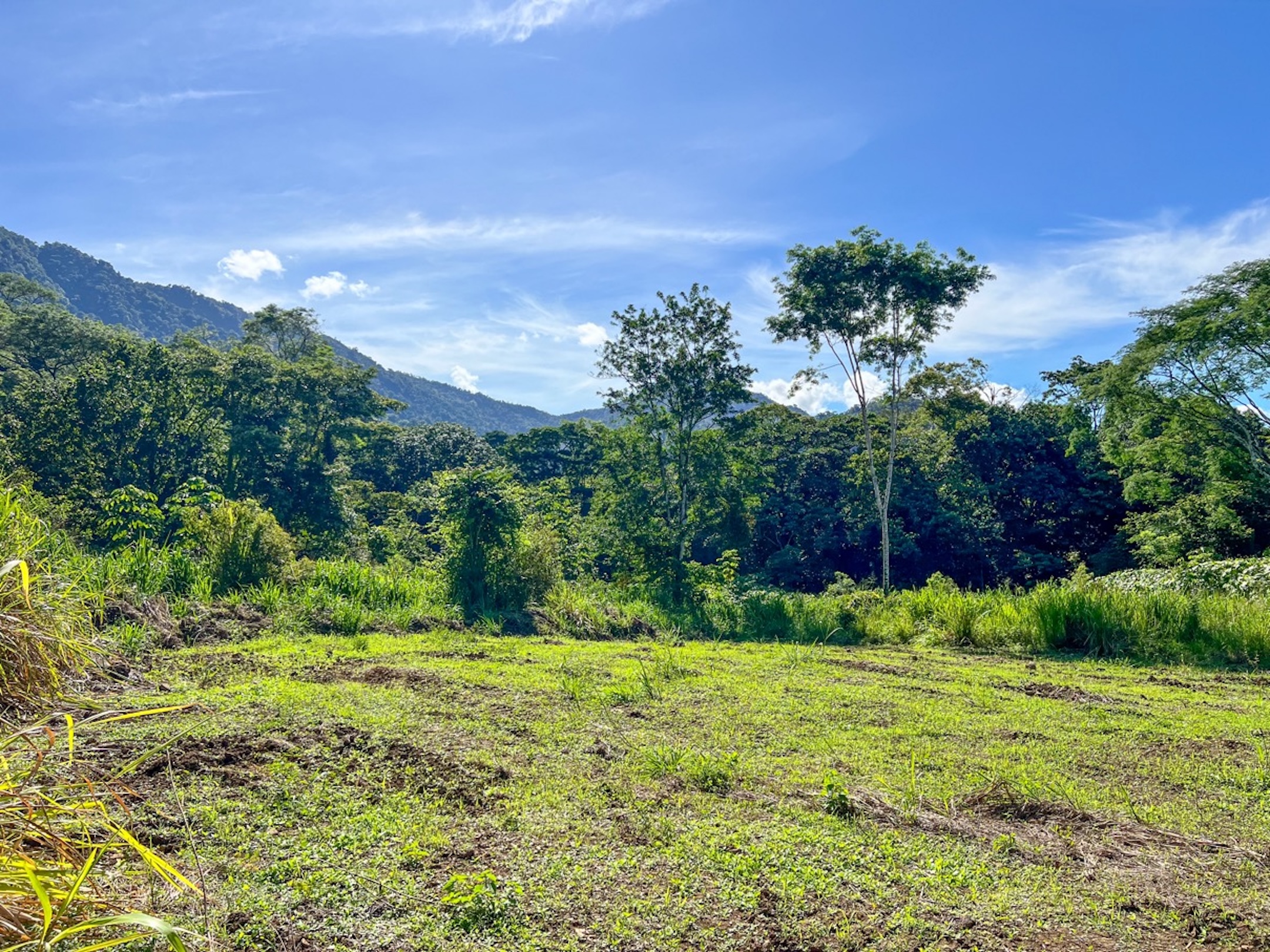 CARACARA RIDGE LOT #12 – MOUNTAIN VIEWS & NATURAL PRIVACY, IN OJOCHAL – 1.32 ACRES