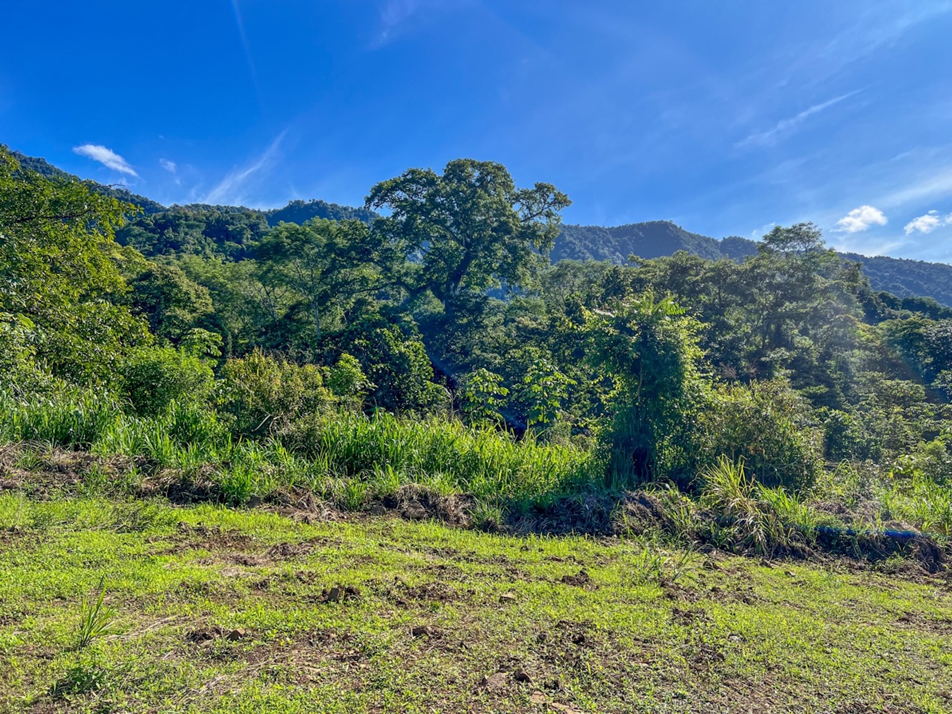 CARACARA RIDGE LOT #12 – MOUNTAIN VIEWS & NATURAL PRIVACY, IN OJOCHAL – 1.32 ACRES