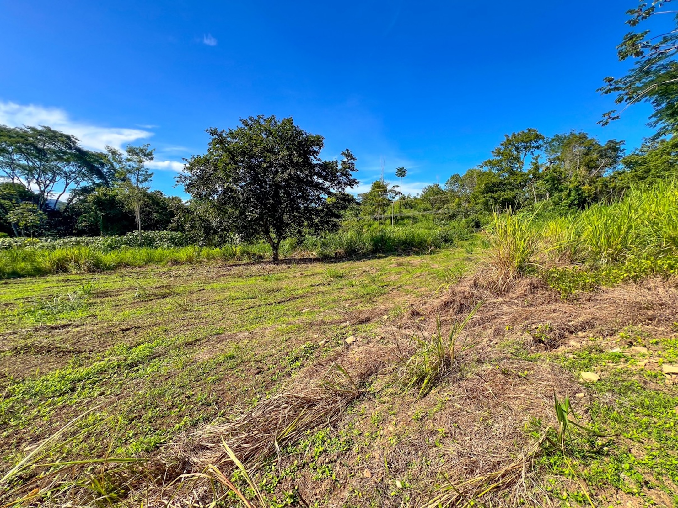 CARACARA RIDGE LOT #12 – MOUNTAIN VIEWS & NATURAL PRIVACY, IN OJOCHAL – 1.32 ACRES