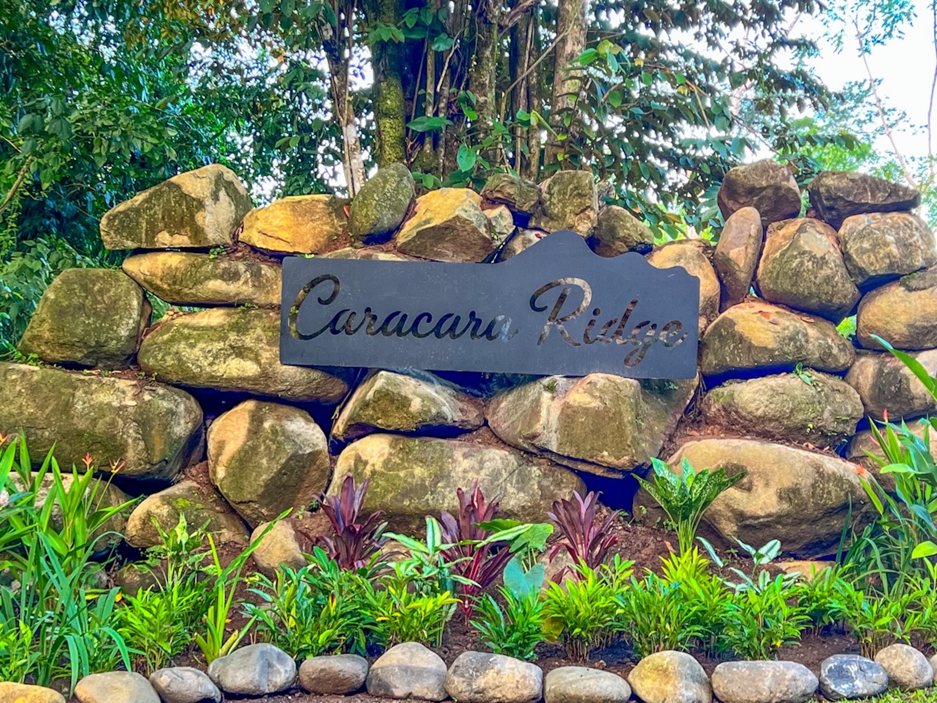 CARACARA RIDGE LOT #12 – MOUNTAIN VIEWS & NATURAL PRIVACY, IN OJOCHAL – 1.32 ACRES