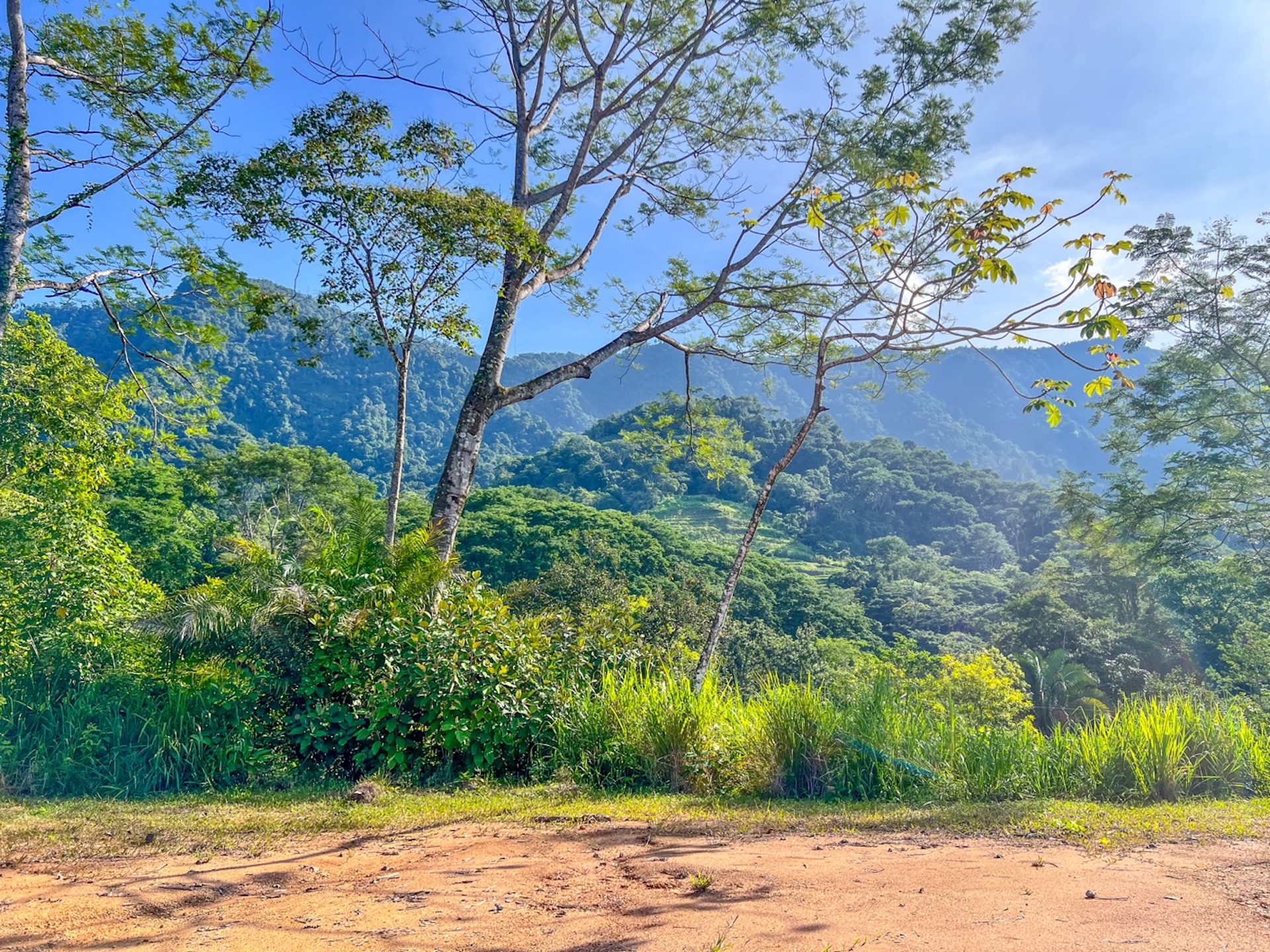 CARACARA RIDGE LOT #22 – ELEVATED & PRIVATE MOUNTAIN SETTING, IN OJOCHAL – 2.27 ACRES