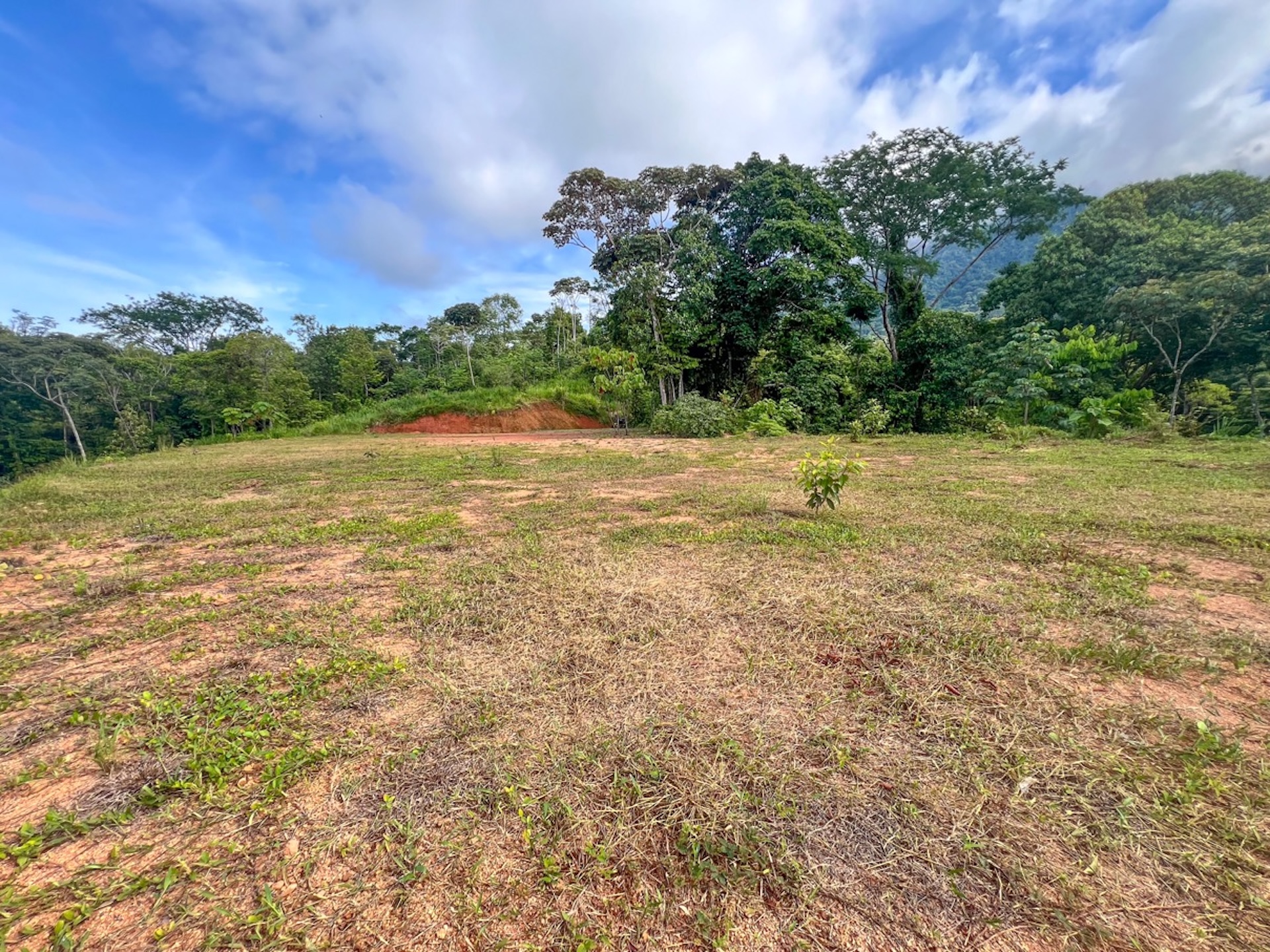 CARACARA RIDGE LOT #29 – 7.49 ACRES OF PRIVACY & NATURAL SURROUNDINGS, IN OJOCHAL