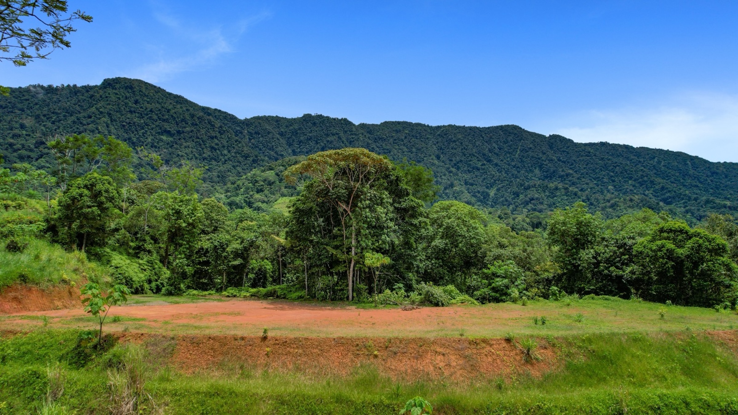 CARACARA RIDGE LOT #29 – 7.49 ACRES OF PRIVACY & NATURAL SURROUNDINGS, IN OJOCHAL