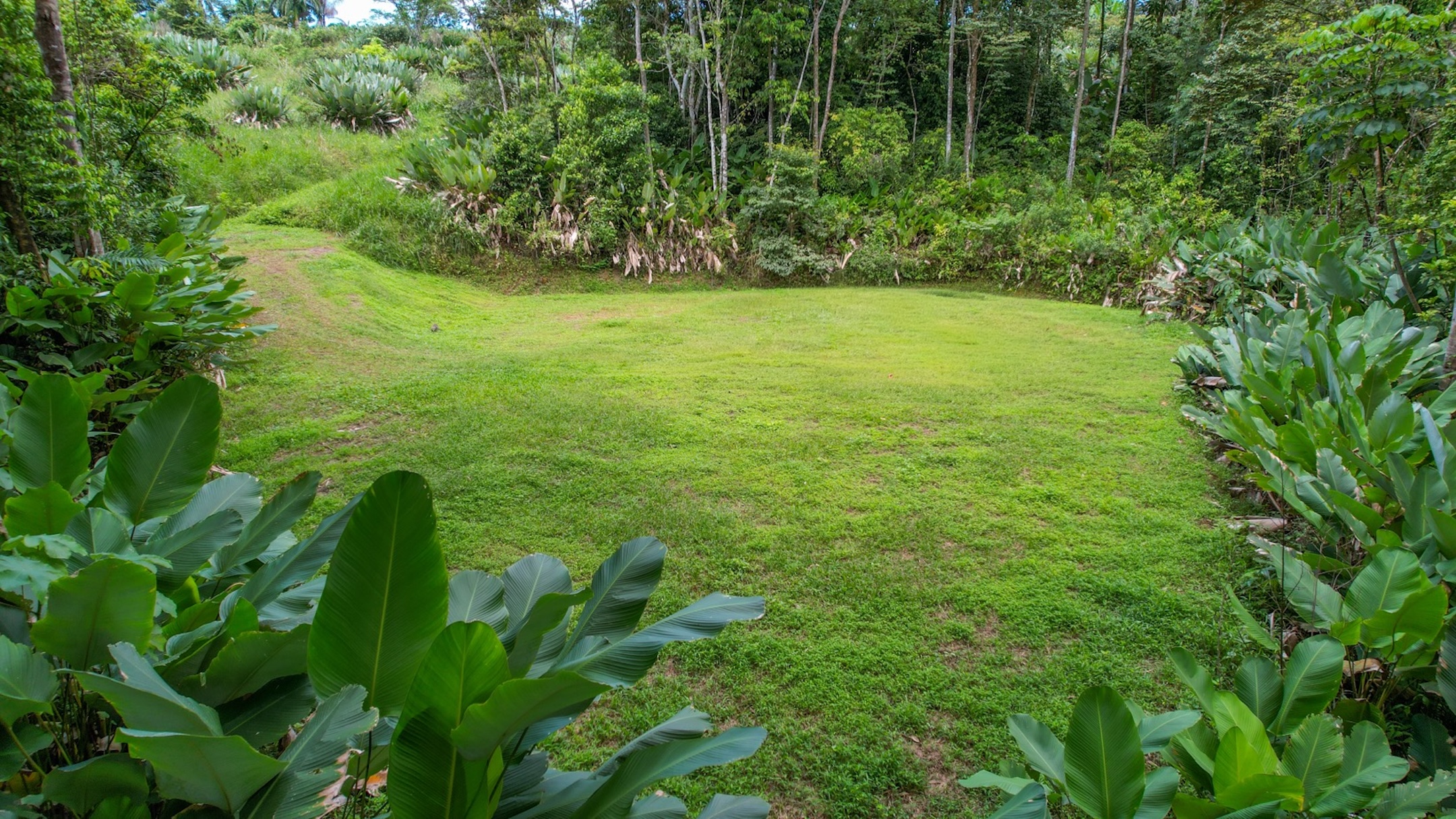 CARACARA RIDGE LOT #41 – ELEVATED SETTING WITH MOUNTAIN VIEWS, IN OJOCHAL – 1.43 ACRES
