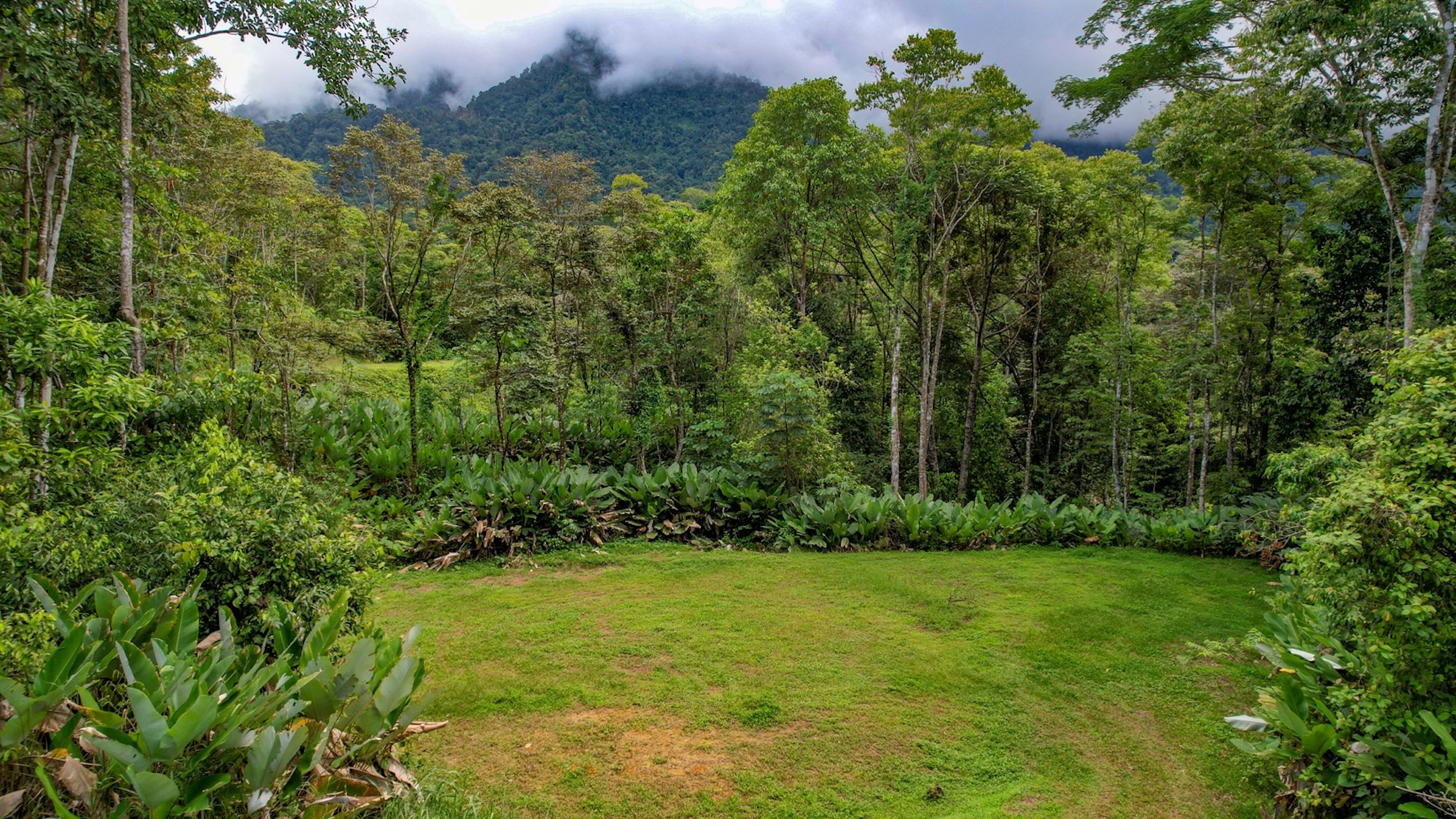 CARACARA RIDGE LOT #41 – ELEVATED SETTING WITH MOUNTAIN VIEWS, IN OJOCHAL – 1.43 ACRES