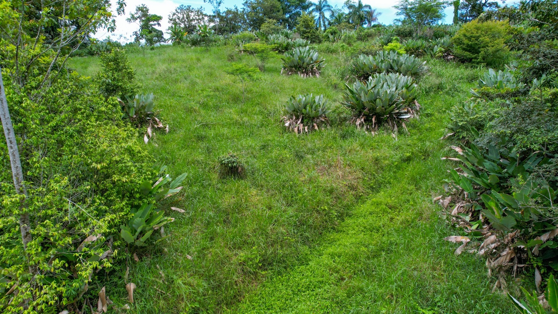 CARACARA RIDGE LOT #41 – ELEVATED SETTING WITH MOUNTAIN VIEWS, IN OJOCHAL – 1.43 ACRES