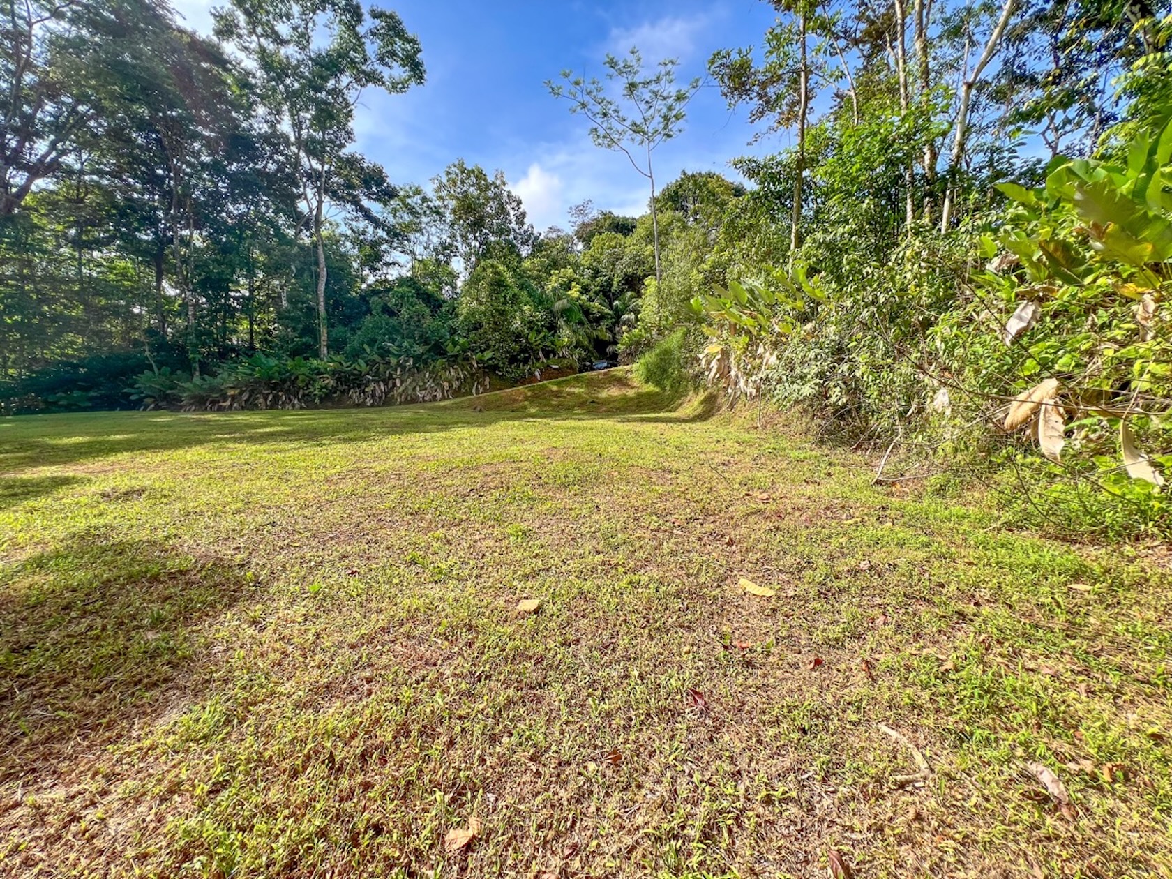 CARACARA RIDGE LOT #41 – ELEVATED SETTING WITH MOUNTAIN VIEWS, IN OJOCHAL – 1.43 ACRES