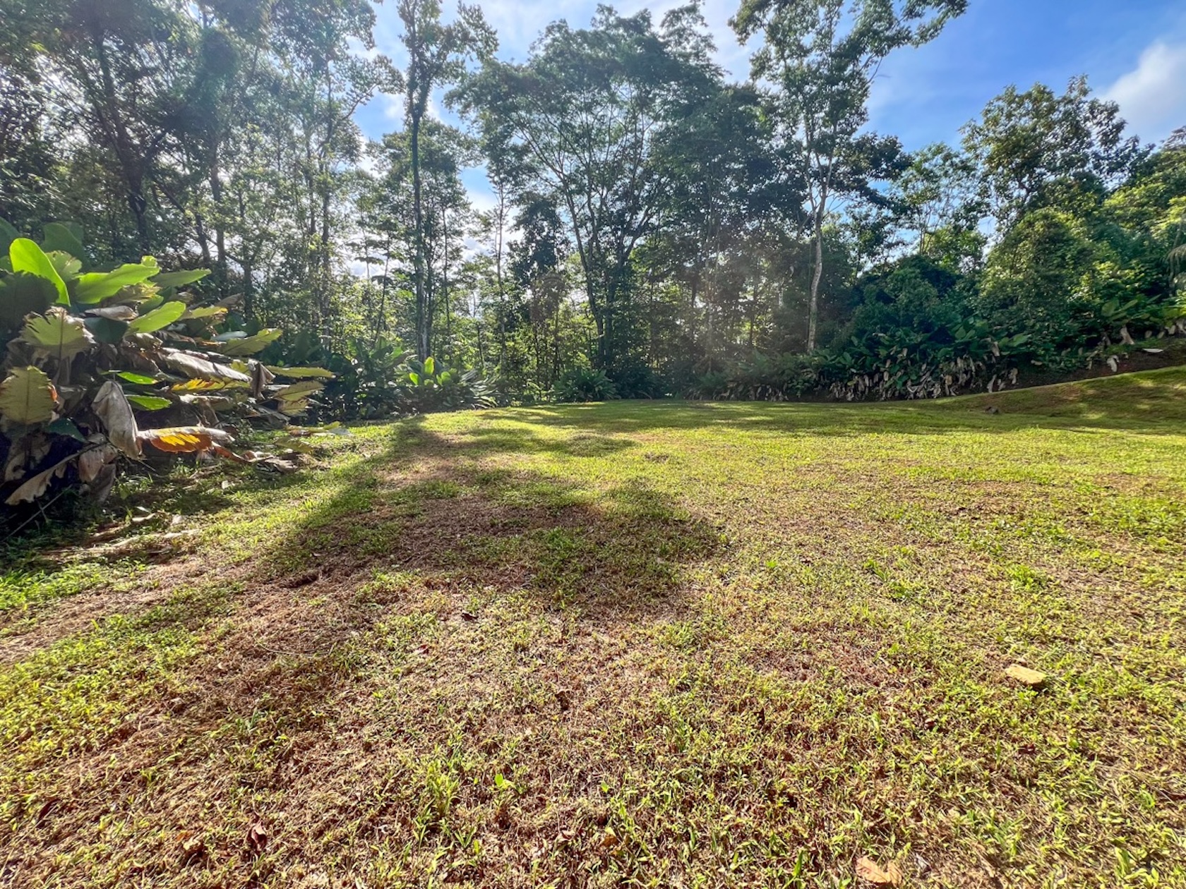 CARACARA RIDGE LOT #41 – ELEVATED SETTING WITH MOUNTAIN VIEWS, IN OJOCHAL – 1.43 ACRES