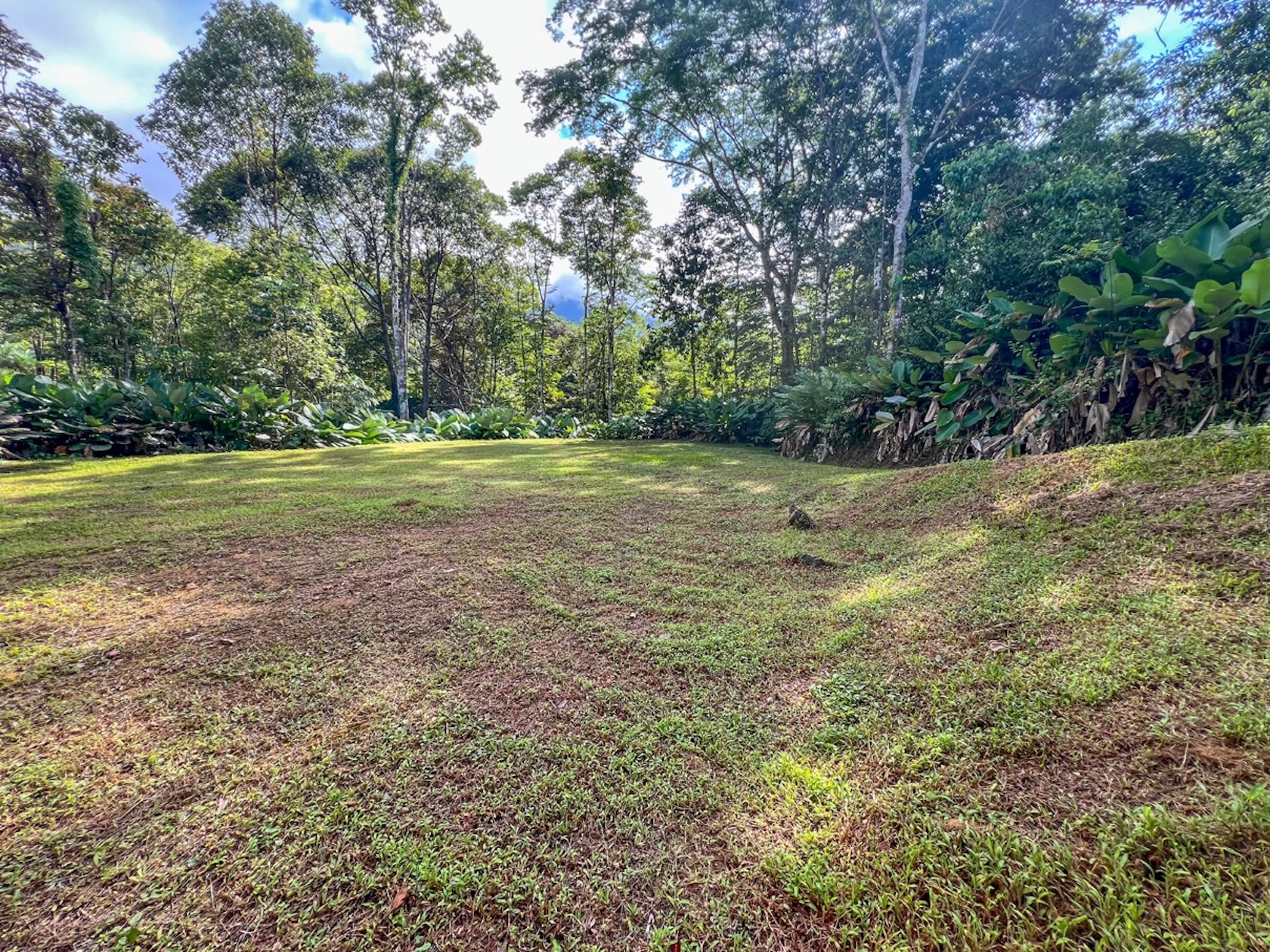 CARACARA RIDGE LOT #41 – ELEVATED SETTING WITH MOUNTAIN VIEWS, IN OJOCHAL – 1.43 ACRES