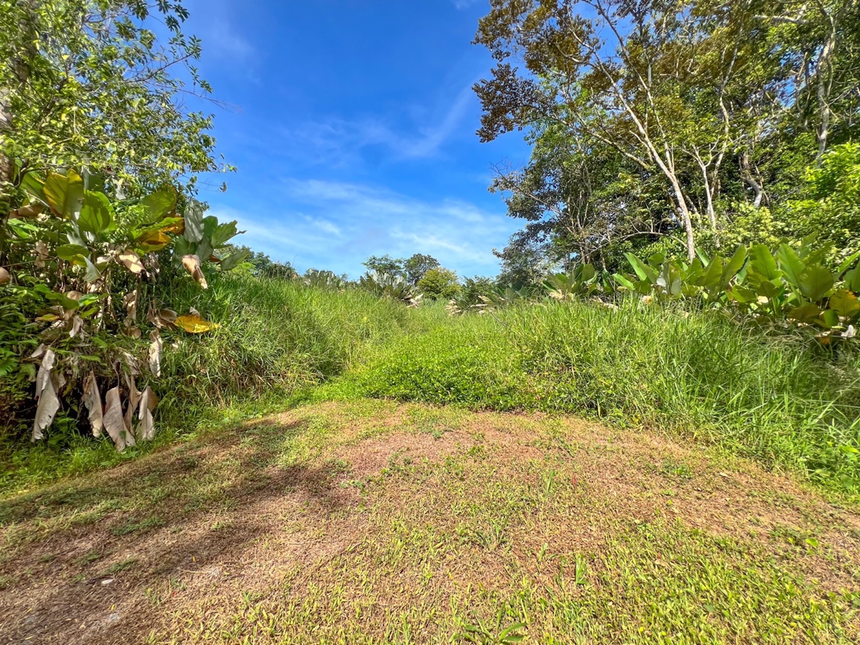 CARACARA RIDGE LOT #41 – ELEVATED SETTING WITH MOUNTAIN VIEWS, IN OJOCHAL – 1.43 ACRES