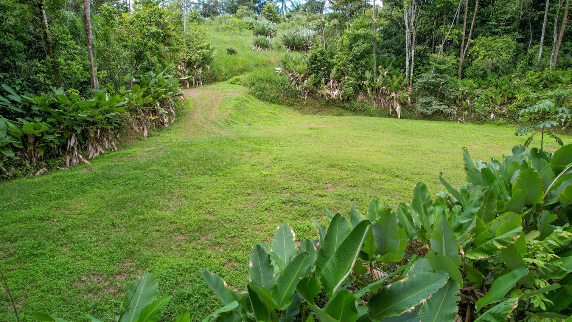 CARACARA RIDGE LOT #41 – ELEVATED SETTING WITH MOUNTAIN VIEWS, IN OJOCHAL – 1.43 ACRES