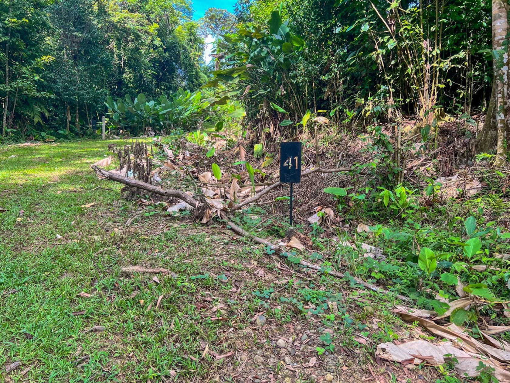 CARACARA RIDGE LOT #41 – ELEVATED SETTING WITH MOUNTAIN VIEWS, IN OJOCHAL – 1.43 ACRES