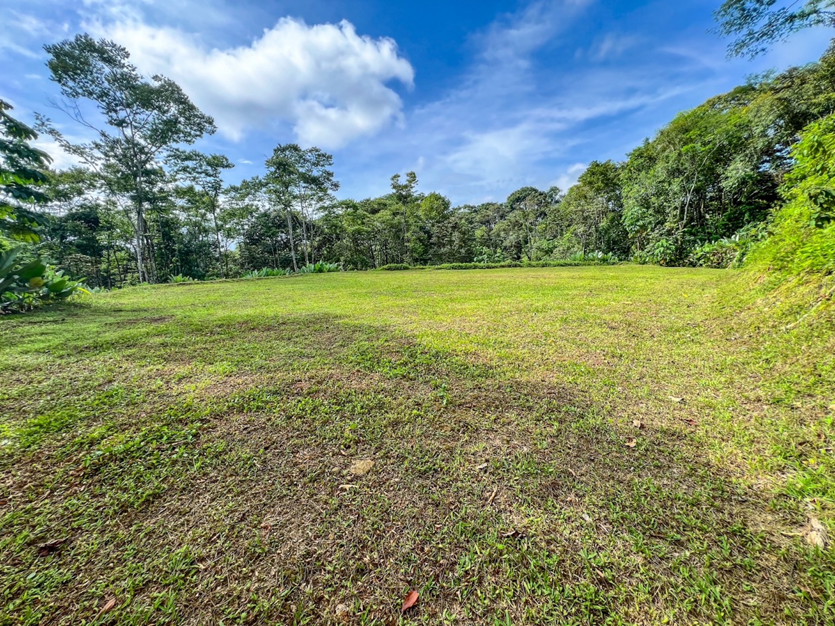 CARACARA RIDGE LOT #42 – ELEVATED MOUNTAIN SETTING SURROUNDED BY NATURE, IN OJOCHAL – 1.76 ACRES