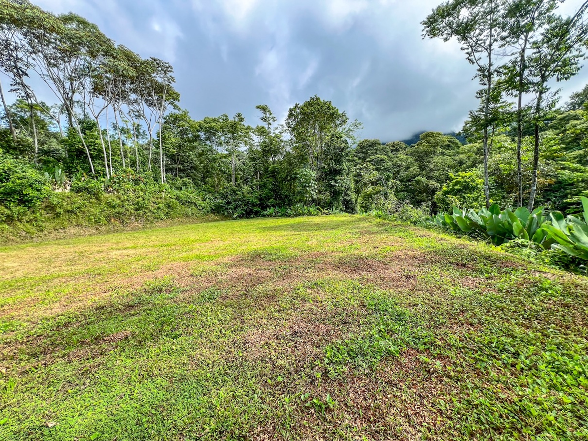CARACARA RIDGE LOT #42 – ELEVATED MOUNTAIN SETTING SURROUNDED BY NATURE, IN OJOCHAL – 1.76 ACRES