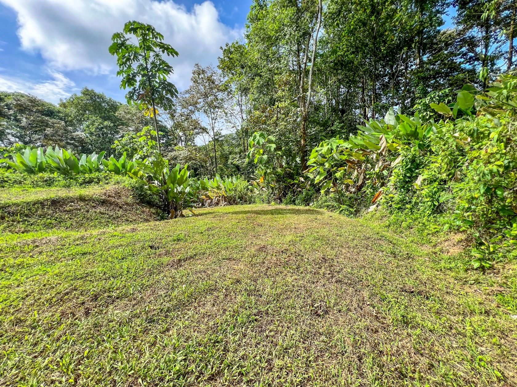 CARACARA RIDGE LOT #42 – ELEVATED MOUNTAIN SETTING SURROUNDED BY NATURE, IN OJOCHAL – 1.76 ACRES
