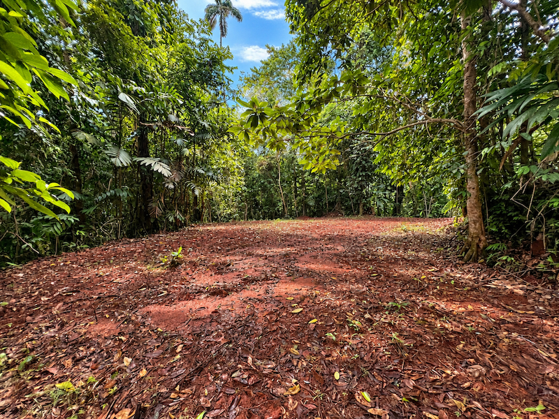 5.93-ACRE LOT WITH OCEAN VIEW AND NATURE RESERVE, IN PORTASOL