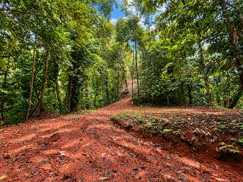 5.93-ACRE LOT WITH OCEAN VIEW AND NATURE RESERVE, IN PORTASOL