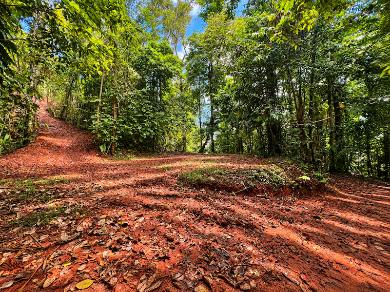 5.93-ACRE LOT WITH OCEAN VIEW AND NATURE RESERVE, IN PORTASOL