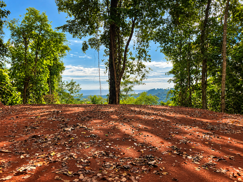 5.93-ACRE LOT WITH OCEAN VIEW AND NATURE RESERVE, IN PORTASOL