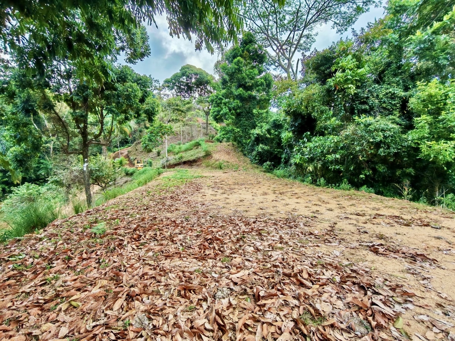 10-HECTARE PROPERTY IN THE MOUNTAINS OF SAN CRISTÓBAL DE AGUIRRE, NEAR TO SILENCIO