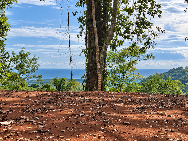 5.93-ACRE LOT WITH OCEAN VIEW AND NATURE RESERVE, IN PORTASOL