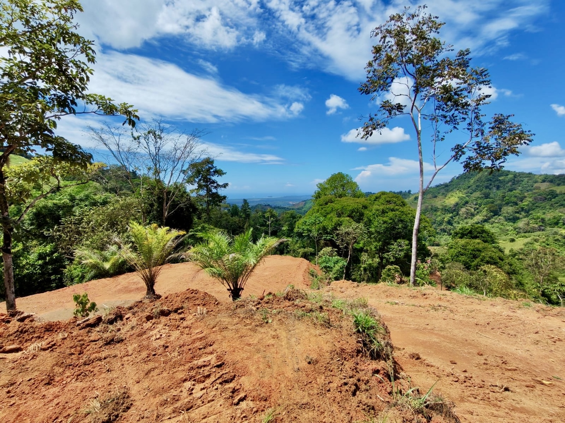 10-HECTARE PROPERTY IN THE MOUNTAINS OF SAN CRISTÓBAL DE AGUIRRE, NEAR TO SILENCIO