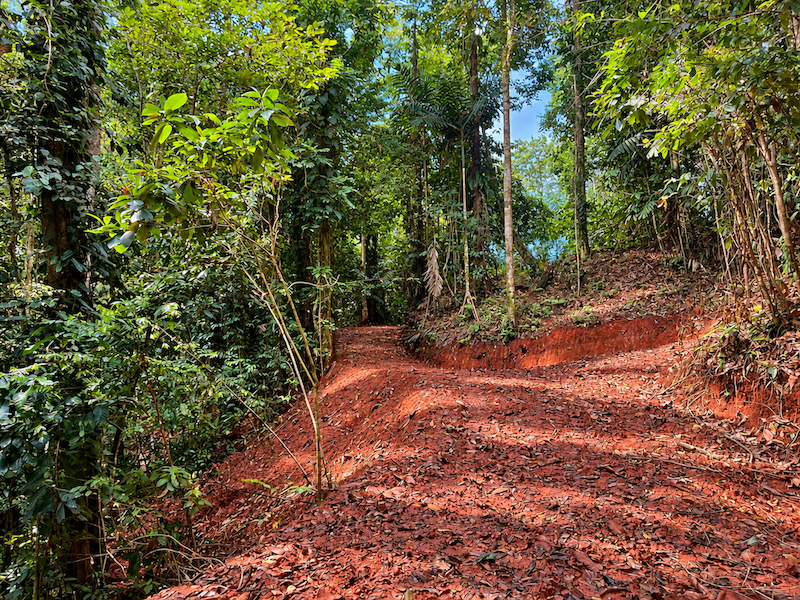 5.93-ACRE LOT WITH OCEAN VIEW AND NATURE RESERVE, IN PORTASOL
