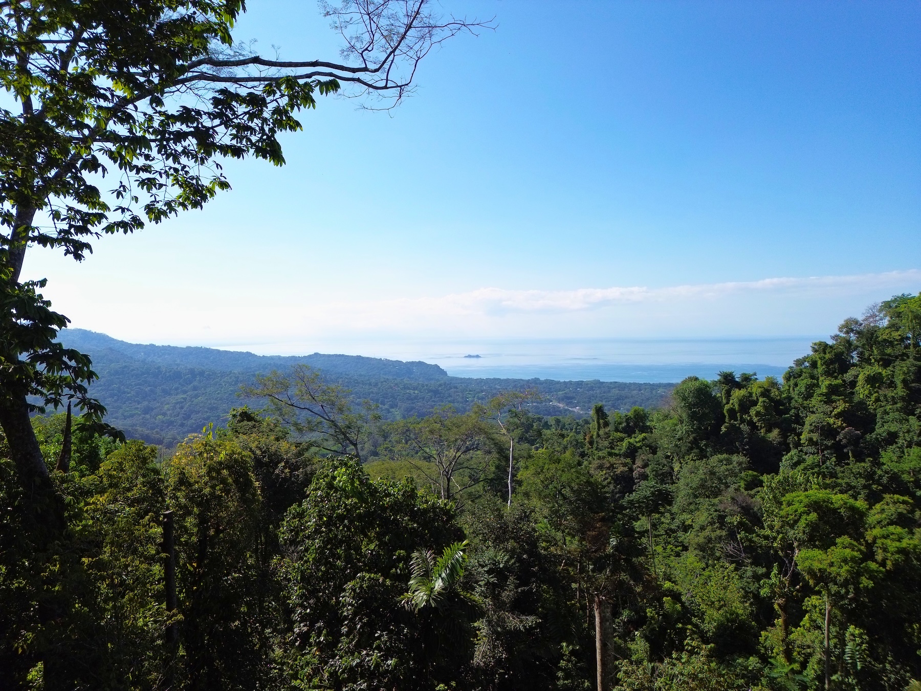 PRIVATE LOT WITH OCEAN AND TROPICAL RAINFOREST VIEWS, IN UVITA – 1.73 ACRES