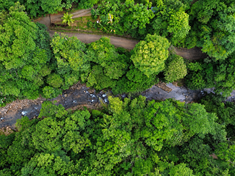 5.93-ACRE LOT WITH OCEAN VIEW AND NATURE RESERVE, IN PORTASOL