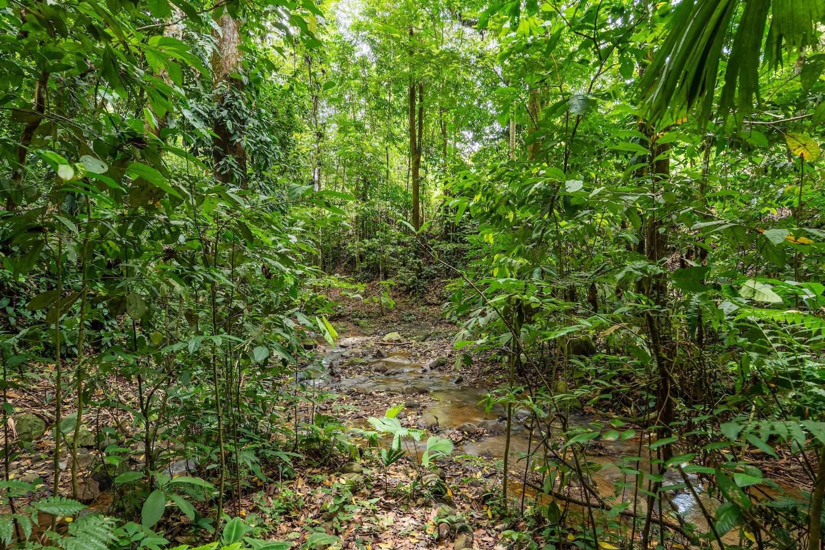 TROPICAL HOME WITH 2-BEDROOM POOL AND STREAM, IN OJOCHAL – 1.6 ACRES