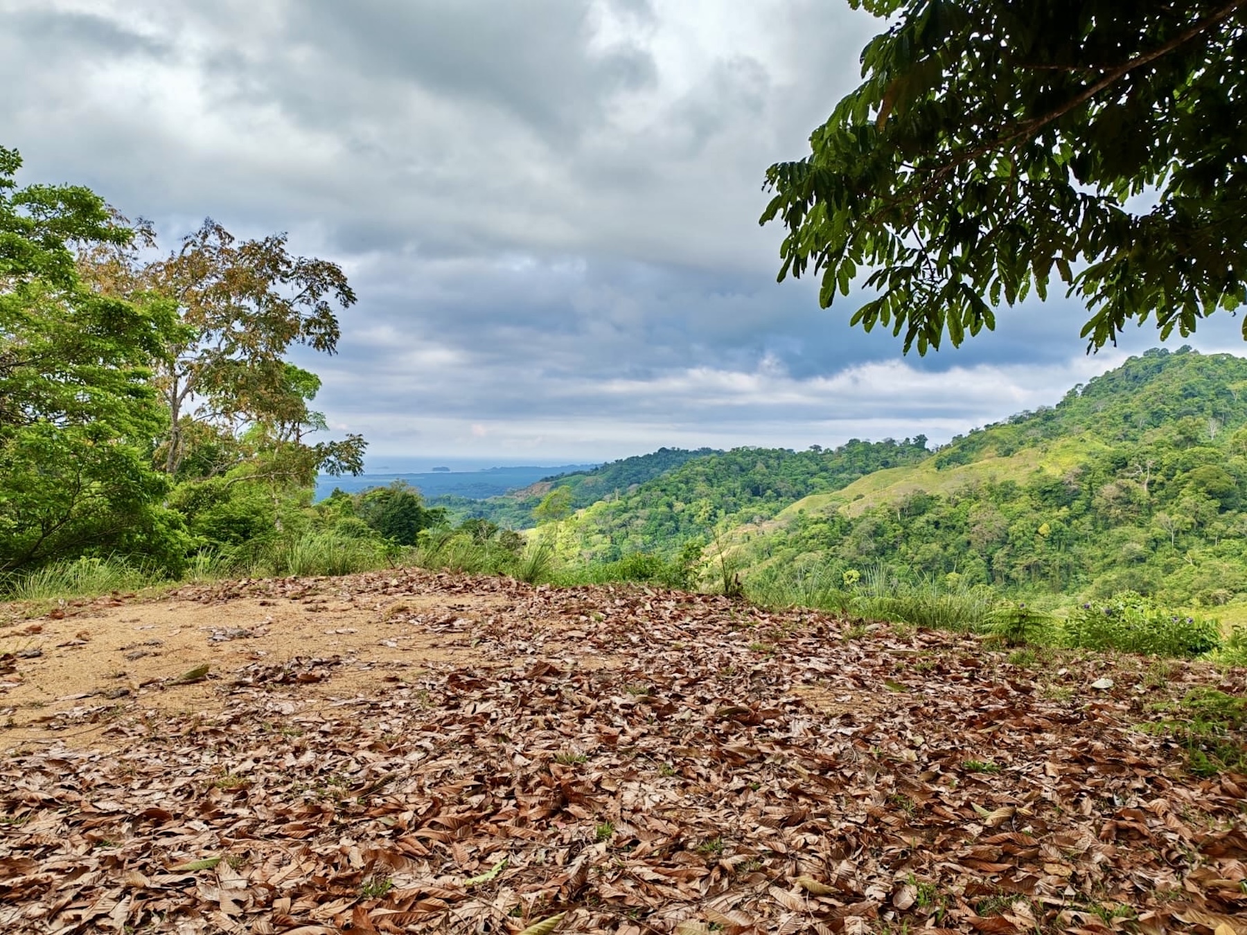 10-HECTARE PROPERTY IN THE MOUNTAINS OF SAN CRISTÓBAL DE AGUIRRE, NEAR TO SILENCIO