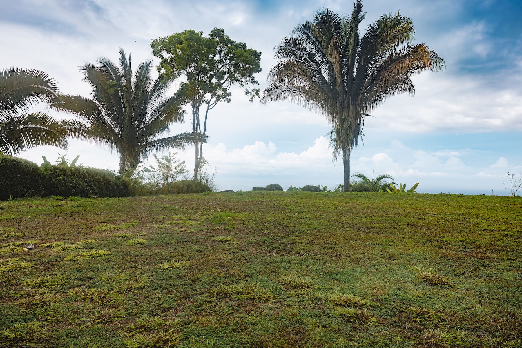 2.23-ACRE PROPERTY WITH PANORAMIC OCEAN VIEWS, IN UVITA
