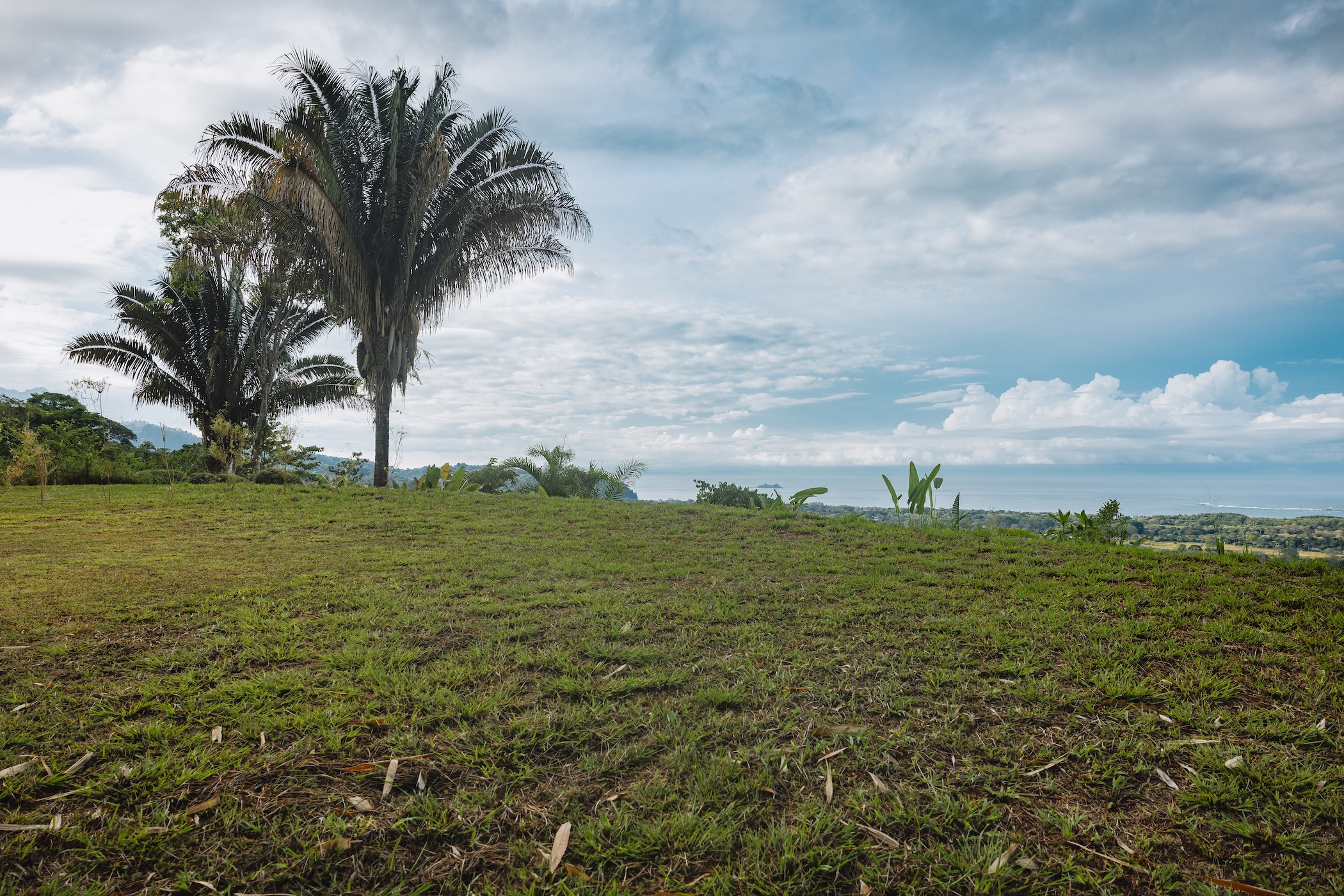 2.23-ACRE PROPERTY WITH PANORAMIC OCEAN VIEWS, IN UVITA