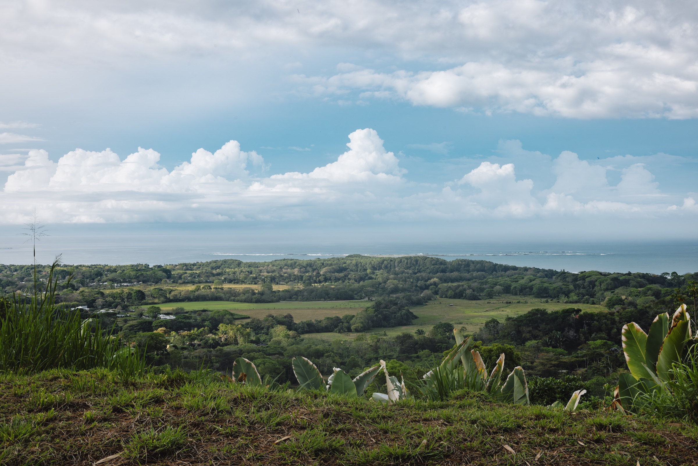 2.23-ACRE PROPERTY WITH PANORAMIC OCEAN VIEWS, IN UVITA