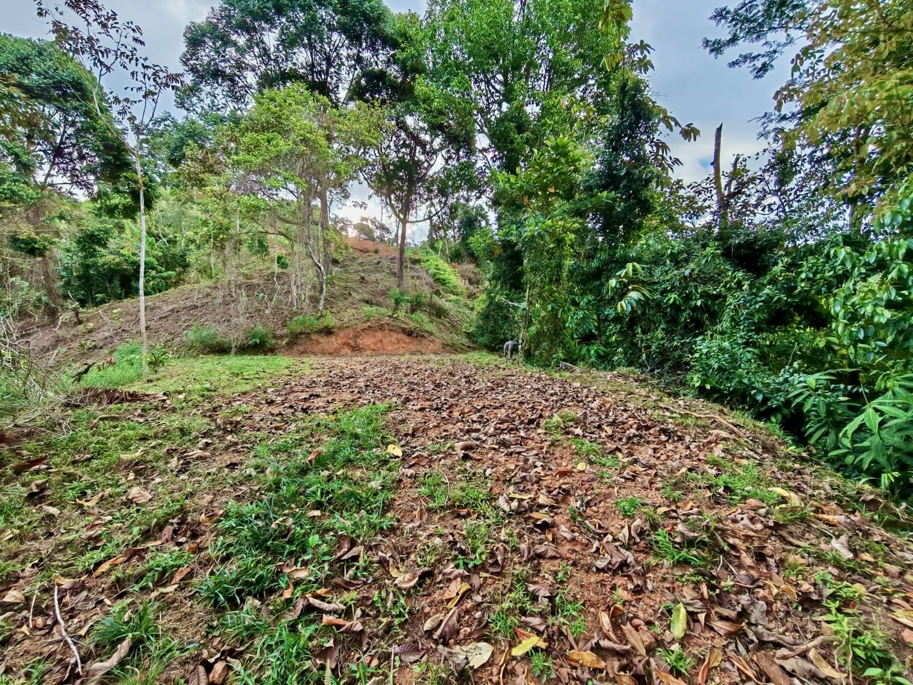 10-HECTARE PROPERTY IN THE MOUNTAINS OF SAN CRISTÓBAL DE AGUIRRE, NEAR TO SILENCIO