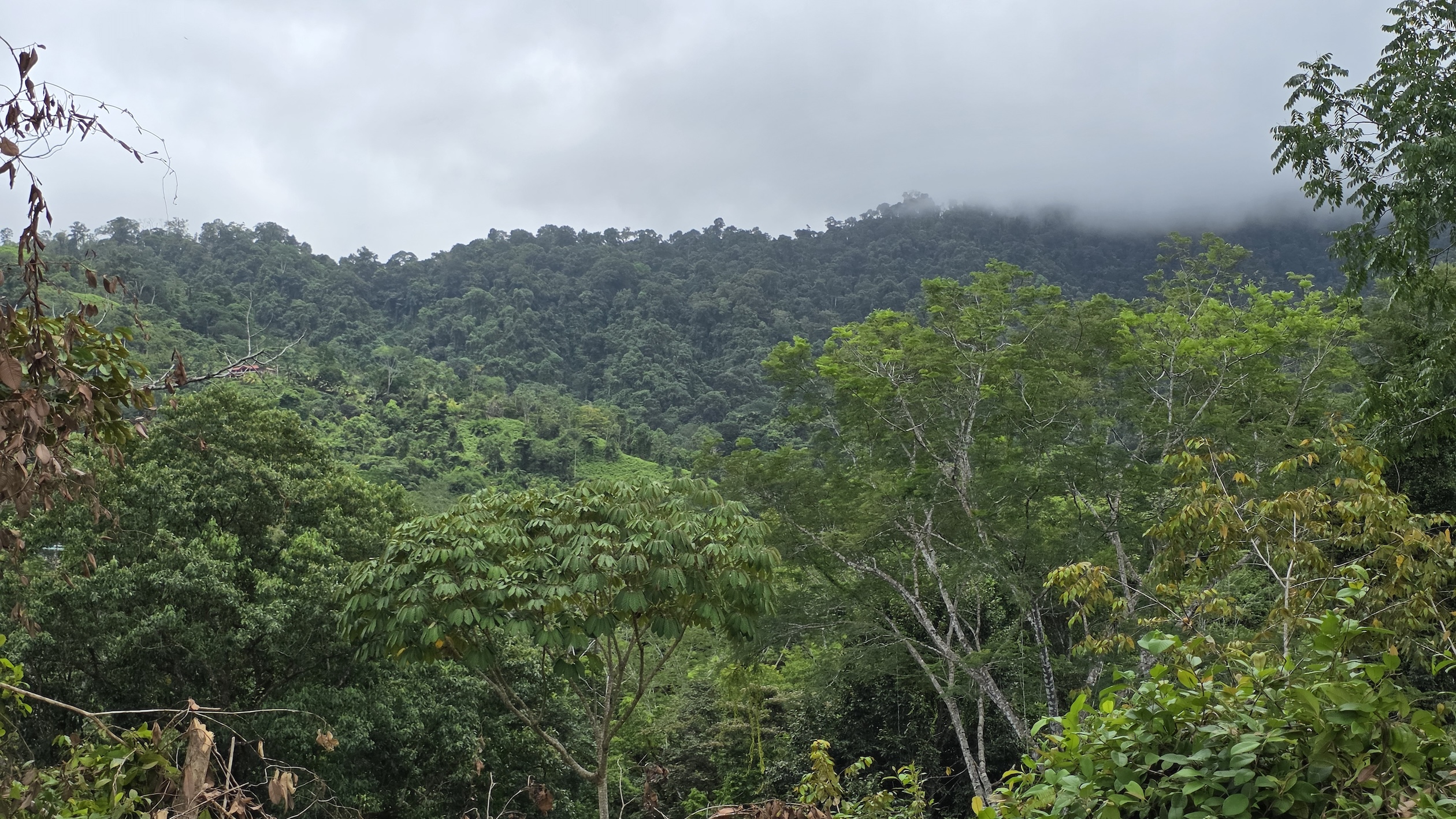 LOT WITH OCEAN AND MOUNTAIN VIEWS, IN OJOCHAL – 0.29 ACRES