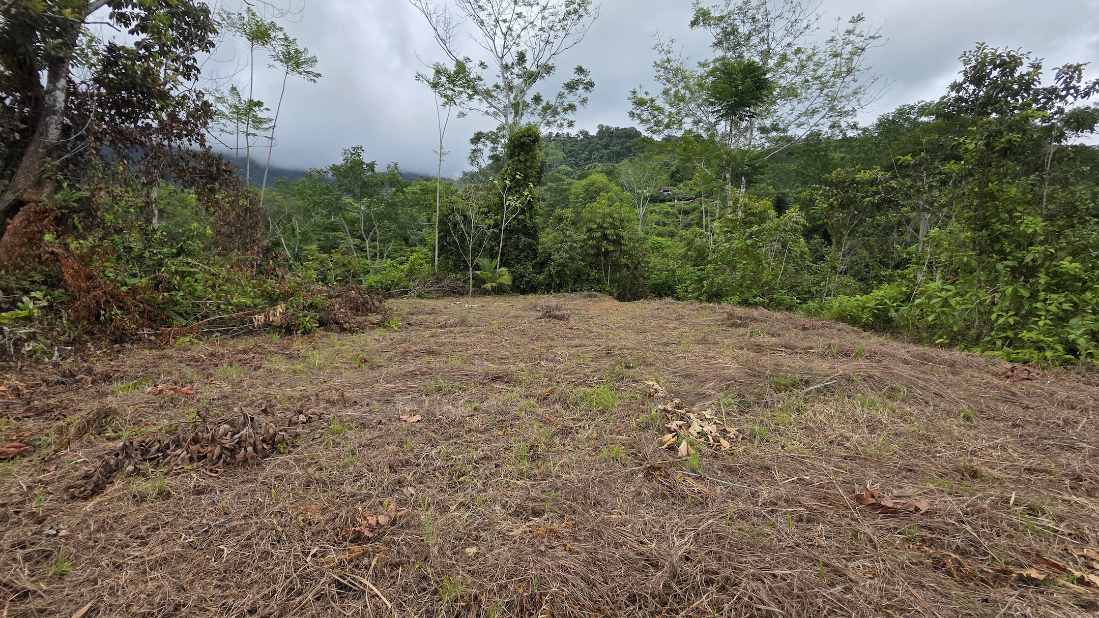 LOT WITH OCEAN AND MOUNTAIN VIEWS, IN OJOCHAL – 0.29 ACRES