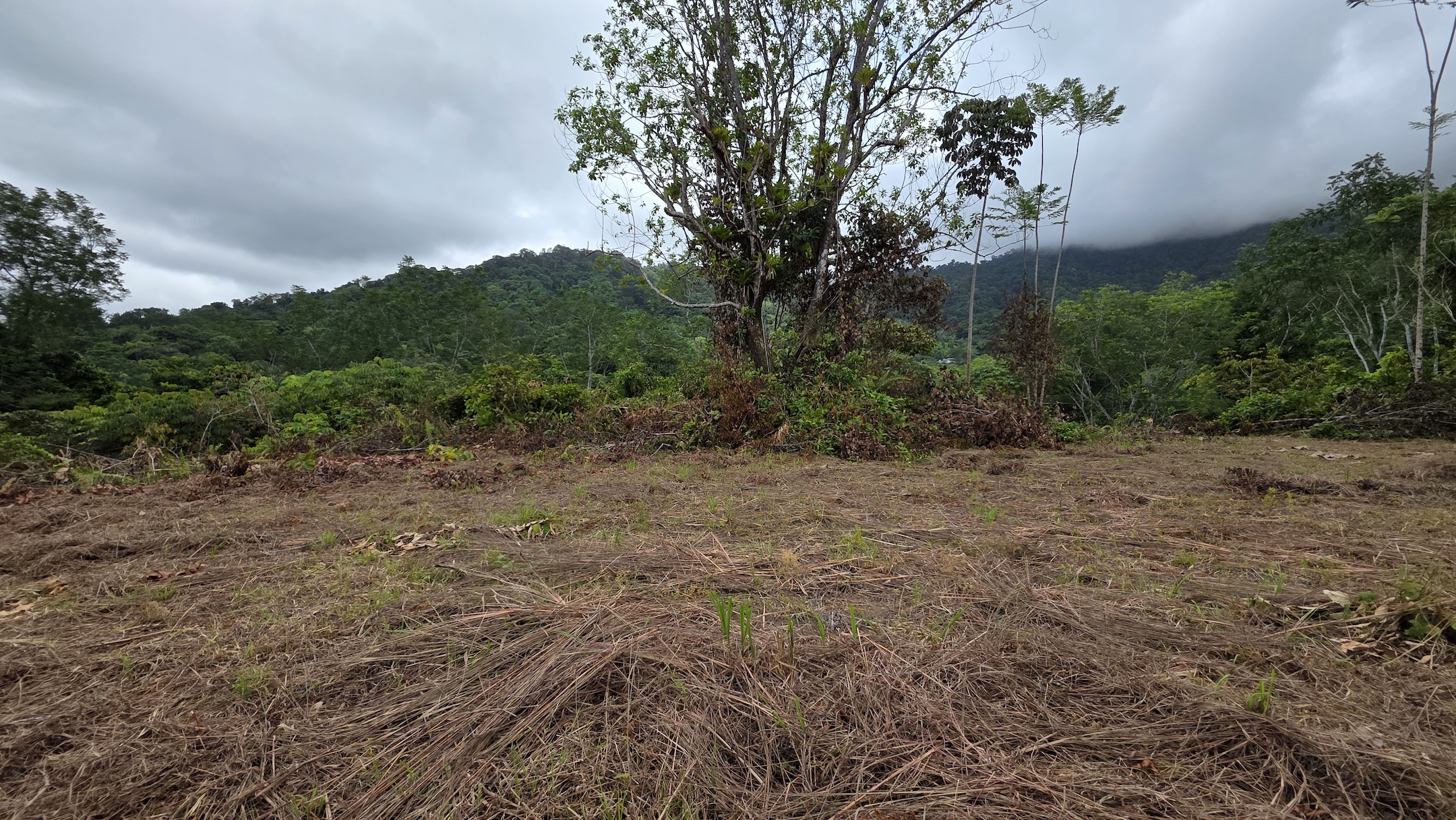 LOT WITH OCEAN AND MOUNTAIN VIEWS, IN OJOCHAL – 0.29 ACRES